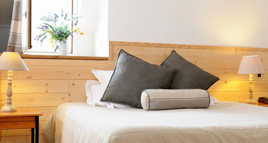 Hotel La Grange Aux Marmottes Viscos Номер фото